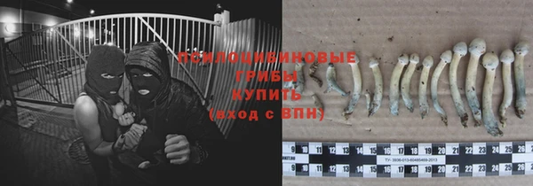 винт Каменск-Шахтинский
