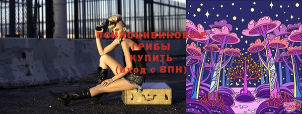 MDMA Каменногорск